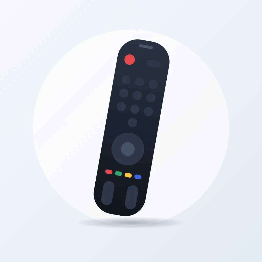 Universal Satellite & TV Remote